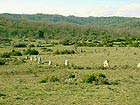 Cromlechs[Blandas]