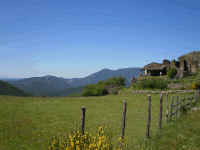 Circuit de la Palombe[Les Plantiers]