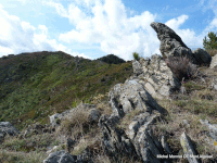 Sentier du Mouflon[Les Plantiers]