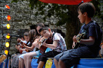 Ecole des Arts Vivants[Saint Hippolyte du Fort]