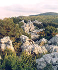 La mer des rochers[Sauve]